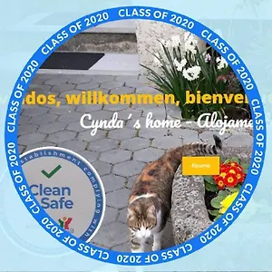 Cynda's Viseu
