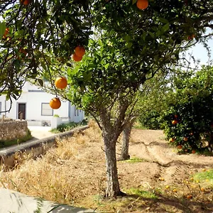 https://casas-do-pomar-lagos.hotelaalgarve.com